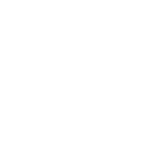 New Leadership: 17 Principles (report)