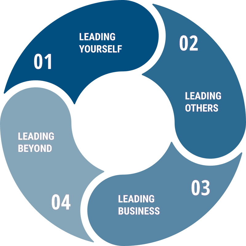 leadership domains diagramm